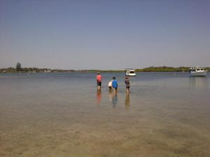 Tea Gardens-20121209-02309