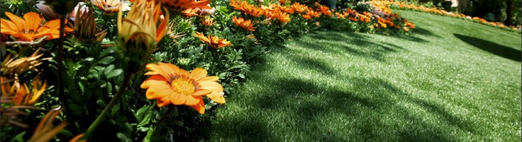 artificial_grass_news_landing