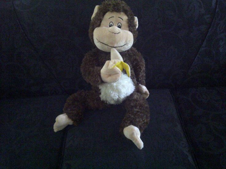 Sydney-20130331-02580