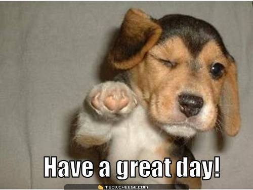 Have-a-good-day-Berni-Frances-yorkshire_rose-16523106-500-375