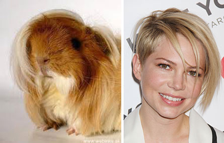 whoworkeditbettermichellewilliams