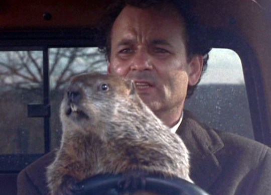 groundhog-day-murray2