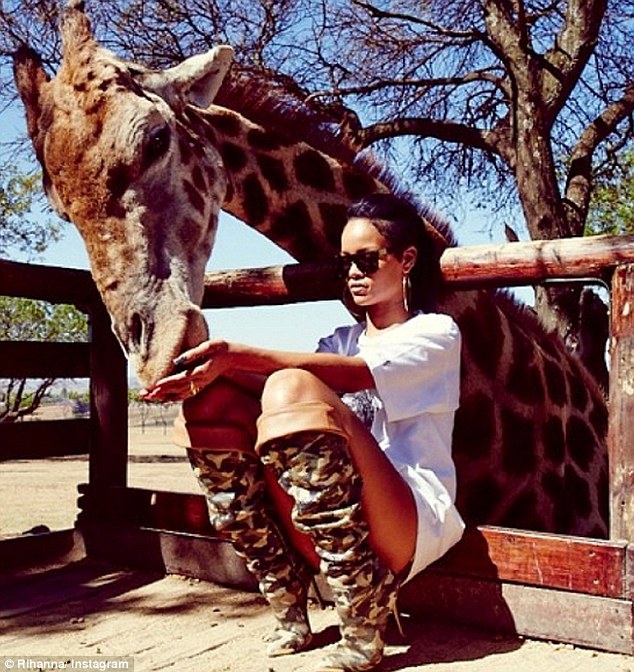rihanna-safari