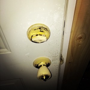 polar-doorknob