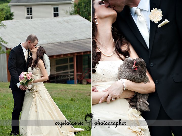wedding-pets-7