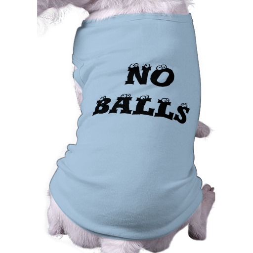 no balls dog