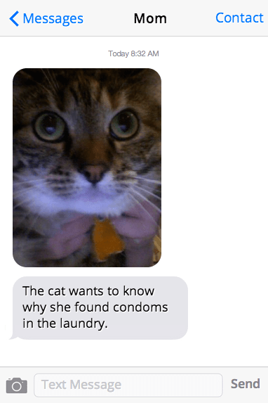 cat-condom