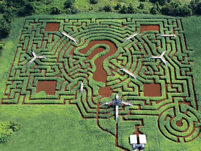 maze