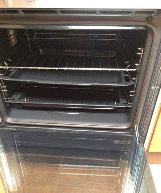 The perfectly clean-looking oven