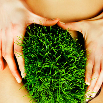 grass-pubic-hair-400x400