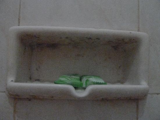 filthy-dirty-soap-dish