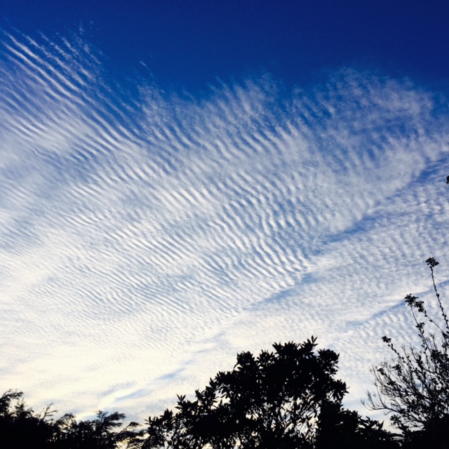 blue-sky