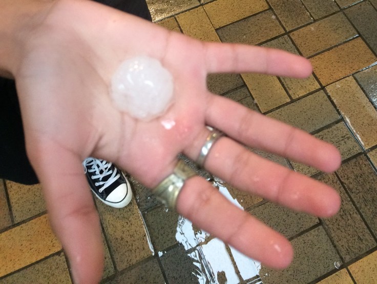 024620E6-F7EE-498C-B2E3-FF86798FF12E