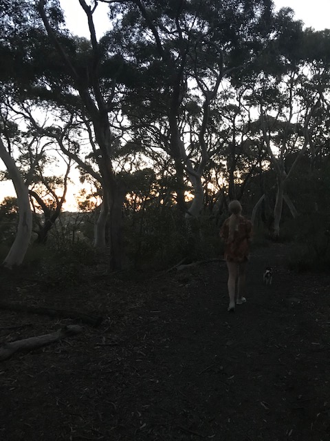 09034A53-D0BD-431F-84E0-62CCCAE94DD9