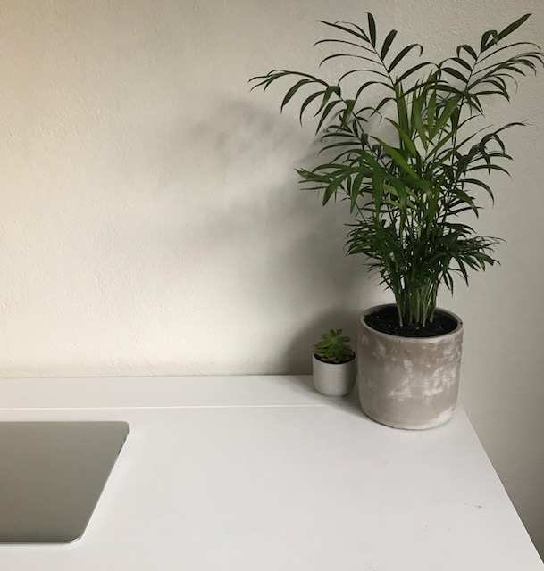 740ABEC0-C742-4A01-B661-75BA09FB5D26